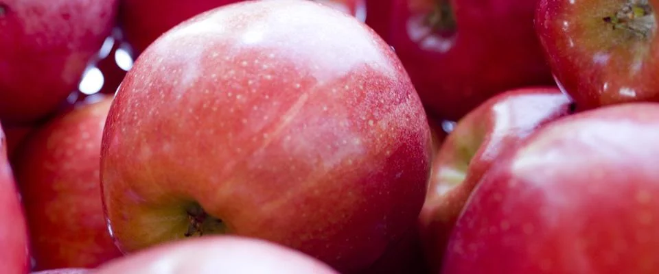 Nutrição, saúde e bem estar
