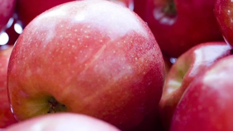 Nutrição, saúde e bem estar