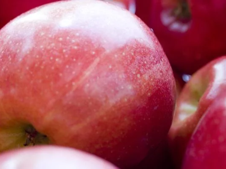 Nutrição, saúde e bem estar
