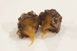 Bombons de caramelo salgado com cookies’n cream (Fudge toffee)