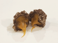 Bombons de caramelo salgado com cookies’n cream (Fudge toffee)