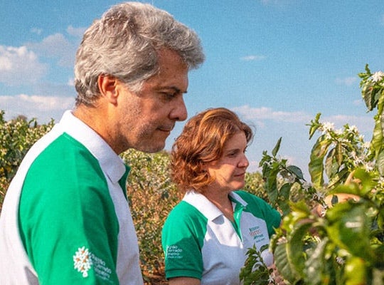 Equipe técnica de agricultura em campo