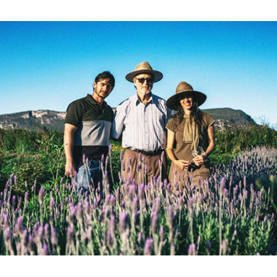 Foto de uma família em sua produção de café