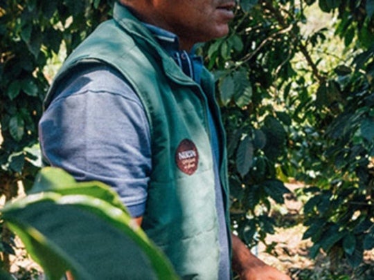 Foto de um profissional que cultiva café